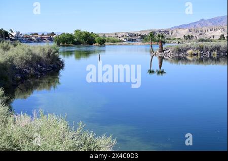 Big Bend of the Colorado State Recreation Area dans le Nevada. Banque D'Images