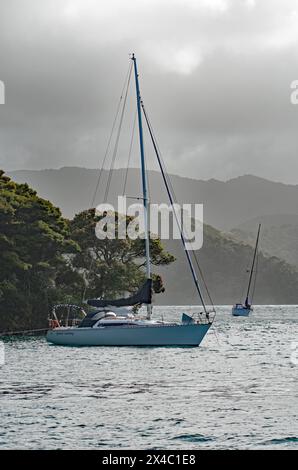 Les bateaux s'abritent de la tempête à Port Fitzroy Harbour Great Barrier Island Banque D'Images