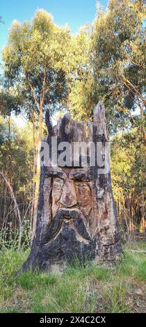 Un tronc d'arbre coupé et brûlé par le feu transformé en art totem, avec un visage indigène mystérieux et sérieux, au milieu de la forêt sur le si Banque D'Images