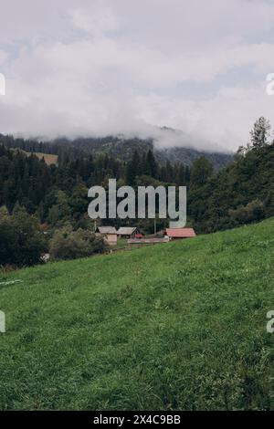 Nuages brumeux matinaux dans la campagne de montagne d'automne. Ukraine, Transcarpathie. Banque D'Images