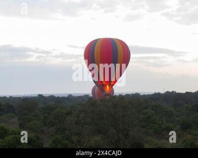 Montgolfière en vol au-dessus du parc national du Masai Mara Banque D'Images