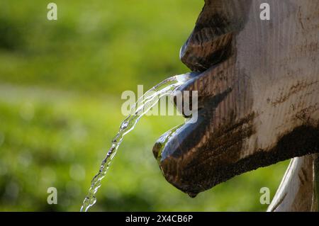 Eau fraîche cristalline qui coule de la bouche d'une tête sculptée en bois. Banque D'Images