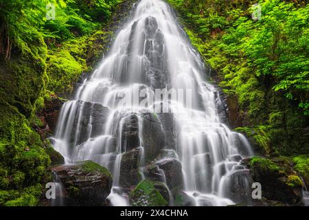 Fairy Falls, Columbia River Gorge National Scenic Area, Oregon, USA Banque D'Images