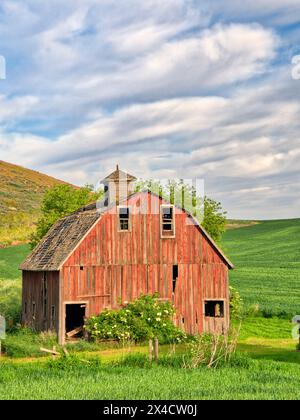 États-Unis, État de Washington, Palouse. Ancienne grange rouge abandonnée dans la région de Palouse dans l'est de l'État de Washington. Banque D'Images