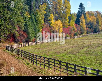 États-Unis, État de Washington, comté de Kittitas. Champ bordé de clôture au début de l'automne. Banque D'Images