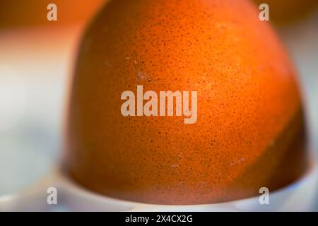 Un gros plan captivant révèle les détails complexes et les textures des œufs frais de la ferme, soulignant leur beauté naturelle. Banque D'Images