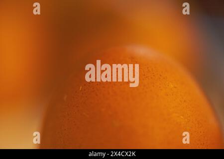 Un gros plan captivant révèle les détails complexes et les textures des œufs frais de la ferme, soulignant leur beauté naturelle. Banque D'Images