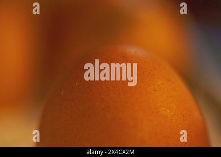 Un gros plan captivant révèle les détails complexes et les textures des œufs frais de la ferme, soulignant leur beauté naturelle. Banque D'Images