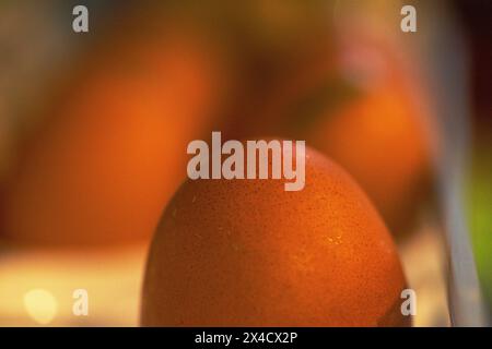 Un gros plan captivant révèle les détails complexes et les textures des œufs frais de la ferme, soulignant leur beauté naturelle. Banque D'Images