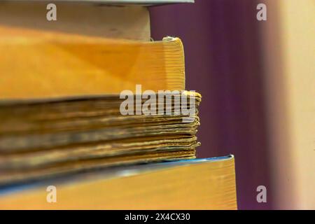 Une photo macro captivante révèle les détails complexes et les textures des bords des livres, mettant en valeur la beauté de la littérature Banque D'Images