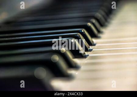 Une photo macro fascinante capture les détails complexes et le contraste des touches de piano noir et blanc, soulignant l'essence de l'art musical. Banque D'Images