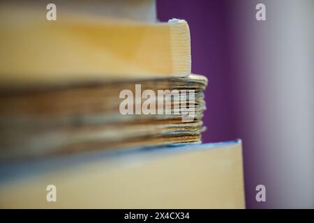 Une photo macro captivante révèle les détails complexes et les textures des bords des livres, mettant en valeur la beauté de la littérature Banque D'Images