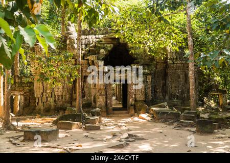 Ta Som temple, Angkor, Cambodge Banque D'Images