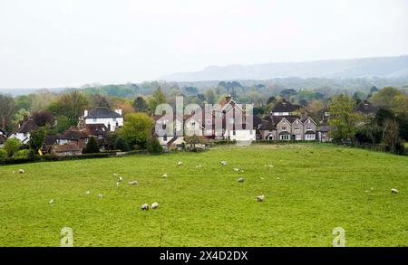 Ditchling Village Sussex UK - vue à travers classé avec des moutons et des maisons derrière Banque D'Images
