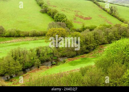 La rivière Exe de Lyncombe Hill près d'Exford dans le parc national d'Exmoor au printemps, Somerset, Angleterre. Banque D'Images