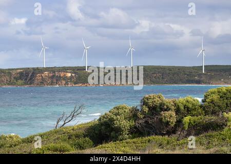 Plusieurs éoliennes dans un champ sur fond de paysage naturel avec une ferme agricole, des vaches sur un champ et une mer bleue Banque D'Images