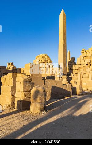 Karnak, Louxor, Égypte. Obélisque de la reine Hatshepsout au complexe du temple de Karnak. Banque D'Images