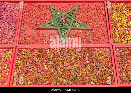 Marrakech, Maroc. Affichage de fleurs séchées à vendre. Banque D'Images