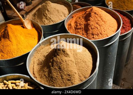 Fès, Maroc. Épices exotiques à vendre dans la médina. Banque D'Images