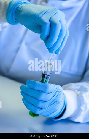 Vue rapprochée d'une personne dans un laboratoire scientifique portant des gants en caoutchouc tout en travaillant avec des échantillons au cours d'une procédure expérimentale. Banque D'Images