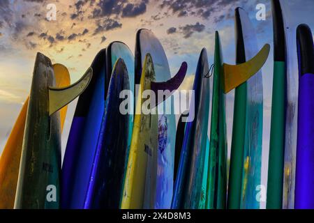 Planches de surf empilées au coucher du soleil après une journée d'école de surf à Canggu, Bali, Indonésie Banque D'Images