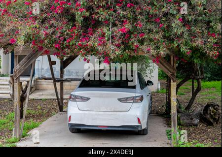 parking pour une voiture dans une pergola avec des fleurs sur le toit dans le village. Photo de haute qualité Banque D'Images