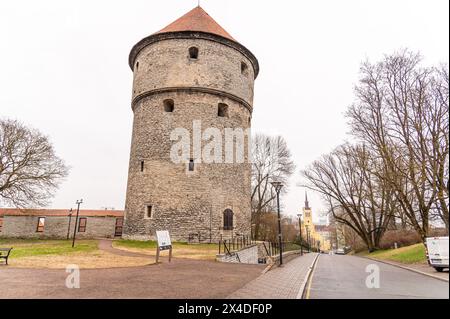 Kiek in de Kök, Tallinn, Estonie Banque D'Images