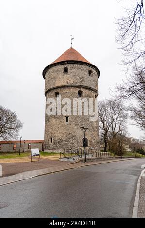 Kiek in de Kök, Tallinn, Estonie Banque D'Images