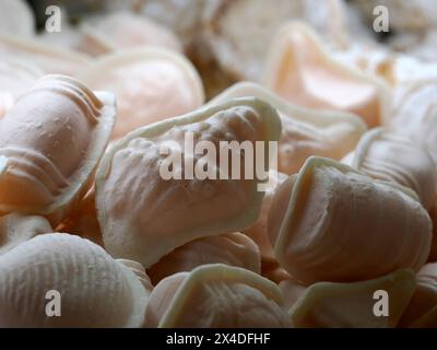 Sucrerie traditionnelle portugaise appelée Ovos moles de Aveiro, portugal Banque D'Images