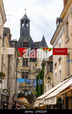 Vallée de la Loire, la ville d'Amboise, où Léonard de Vinci a passé les dernières années de sa vie. (Usage éditorial uniquement) Banque D'Images