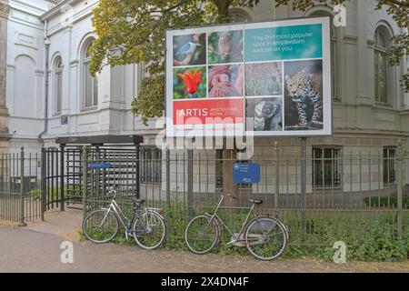 Amsterdam, pays-Bas - 17 mai 2018 : panneau d'affichage Artis Amsterdam Royal Zoo and Aquarium lieu populaire au plantage Middenlaan Street. Banque D'Images