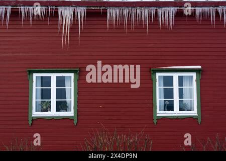 Glaces suspendues dans une maison rouge avec fenêtres encadrées de vert.NOSS, îles Vesteralen, Nordland, Norvège. Banque D'Images