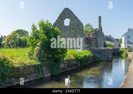 Christchurch, Royaume-Uni - 19 février 2023 : le Mill Stream passant devant les vestiges de la Norman House, connue sous le nom de Constable's House, il a été construit en 1160AD. Banque D'Images