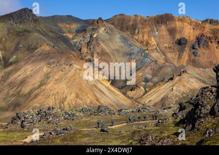 Europa Skandinavien Island Islande SuÃurland Laugavegur : Wanderer im Landmannalaugargebiet *** Europe Scandinavie Islande Islande Suðurland Laugavegur Banque D'Images