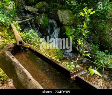 Les cascades de Gaishöll près de Sasbachwalden dans la Forêt Noire. Baden Wuertemberg, Allemagne, Europe Banque D'Images