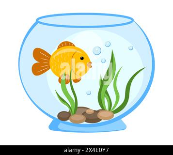 Poisson rouge dans un aquarium sur un fond blanc Illustration de Vecteur