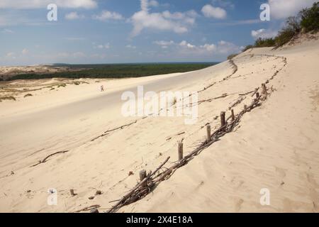 Dunes de sable sur l'axe de Curonie en Lituanie en Europe de l'est Banque D'Images