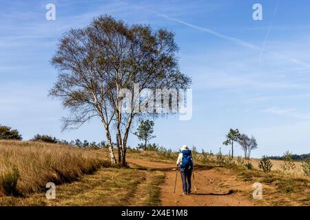 Espagne, Galice. Vue sur la campagne entre Portomarin et Ventras de Naron. (Usage éditorial uniquement) (MR) Banque D'Images