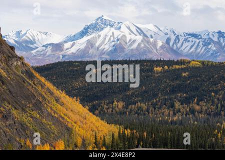 États-Unis, Alaska, forêt nationale de Chugach. Paysage d'automne avec des montagnes et la vallée de la rivière Matanuska. Banque D'Images