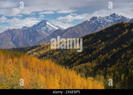 États-Unis, Alaska, forêt nationale de Chugach. Paysage d'automne avec des montagnes et la vallée de la rivière Matanuska. Banque D'Images