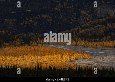 États-Unis, Alaska, forêt nationale de Chugach. Coucher de soleil sur la vallée de la rivière Matanuska en automne. Banque D'Images