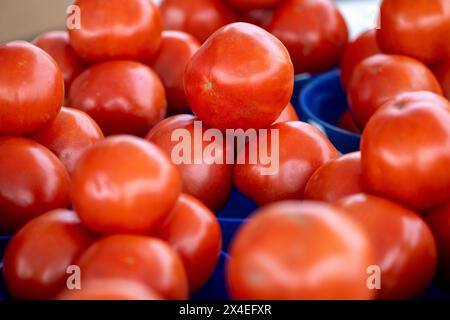 Tomates biologiques à vendre en paniers Banque D'Images