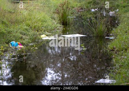 Ruisseau d'eau pollué en Floride Banque D'Images