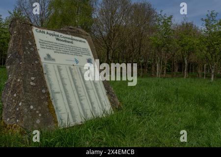 Une plaque de pierre dans un bois commémoratif à St Ives Estate, Bingley. Les noms de ceux qui ont eu un arbre planté en leur mémoire sont énumérés sur la plaque. Banque D'Images