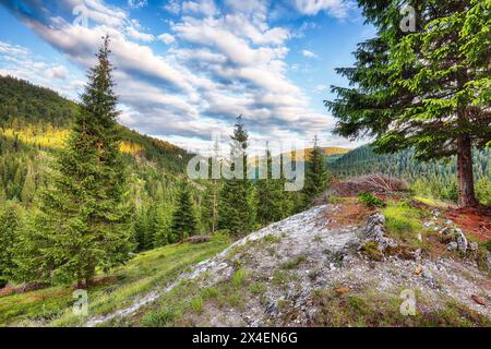 Vue imprenable sur le pic de la montagne Pietrele Albe en été. Coucher de soleil majestueux au parc naturel d'Apuseni, comté de Cluj, Transylvanie, Roumanie, Europe Banque D'Images