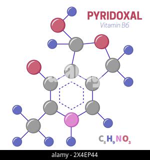 Illustration de la molécule de vitamine B6 de pyridoxal Illustration de Vecteur