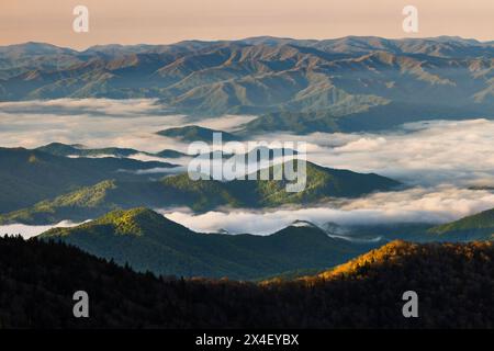 Tôt le matin, vue printanière sur les montagnes et la brume, depuis la région de Clingmans Dome, parc national des Great Smoky Mountains, Caroline du Nord Banque D'Images