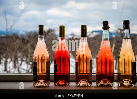 États-Unis, Oregon, Hood River. Les vins roses et blancs sont rétro-éclairés par une froide journée d'hiver. (Usage éditorial uniquement) Banque D'Images