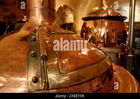 bouilloire dans une brasserie de bière, production industrielle de boissons alcoolisées bouilloire dans une brasserie de bière Banque D'Images