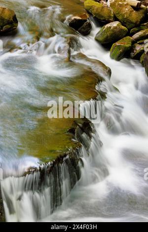 Ruisseau de montagne en cascade sur les rochers, parc national des Great Smoky Mountains, Tennessee Banque D'Images